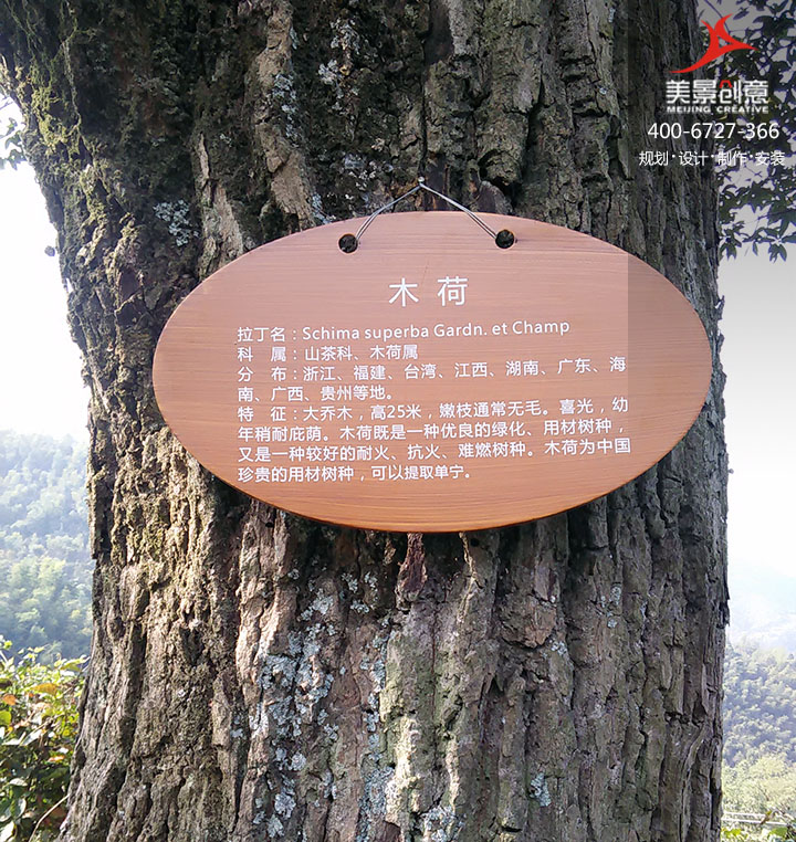 标识系统 